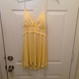 NWT lady's top size XL by miss chievious
